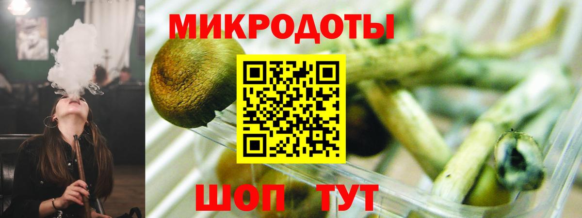 Галлюциногенные грибы Psilocybine cubensis  Вход с VPN  Великий Устюг 